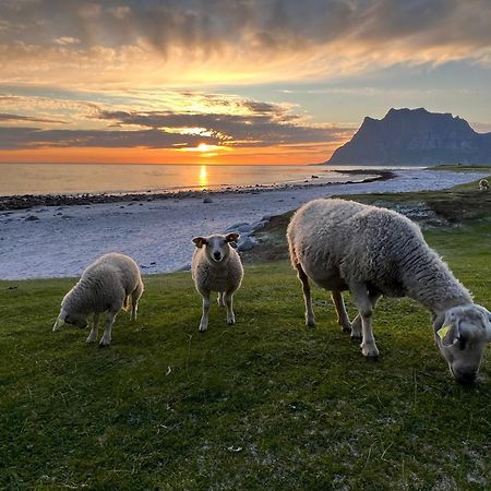 Fisherman'S Cabin, Lofoten - 24 Bardbua Ballstad Esterno foto